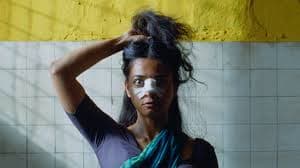 Outstanding Films and Memorable Screenings from Pictureville’s 2025 Programme