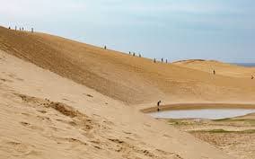 Eco-Tourism at Tottori Sand Dunes: A Sustainable Adventure for Visitors