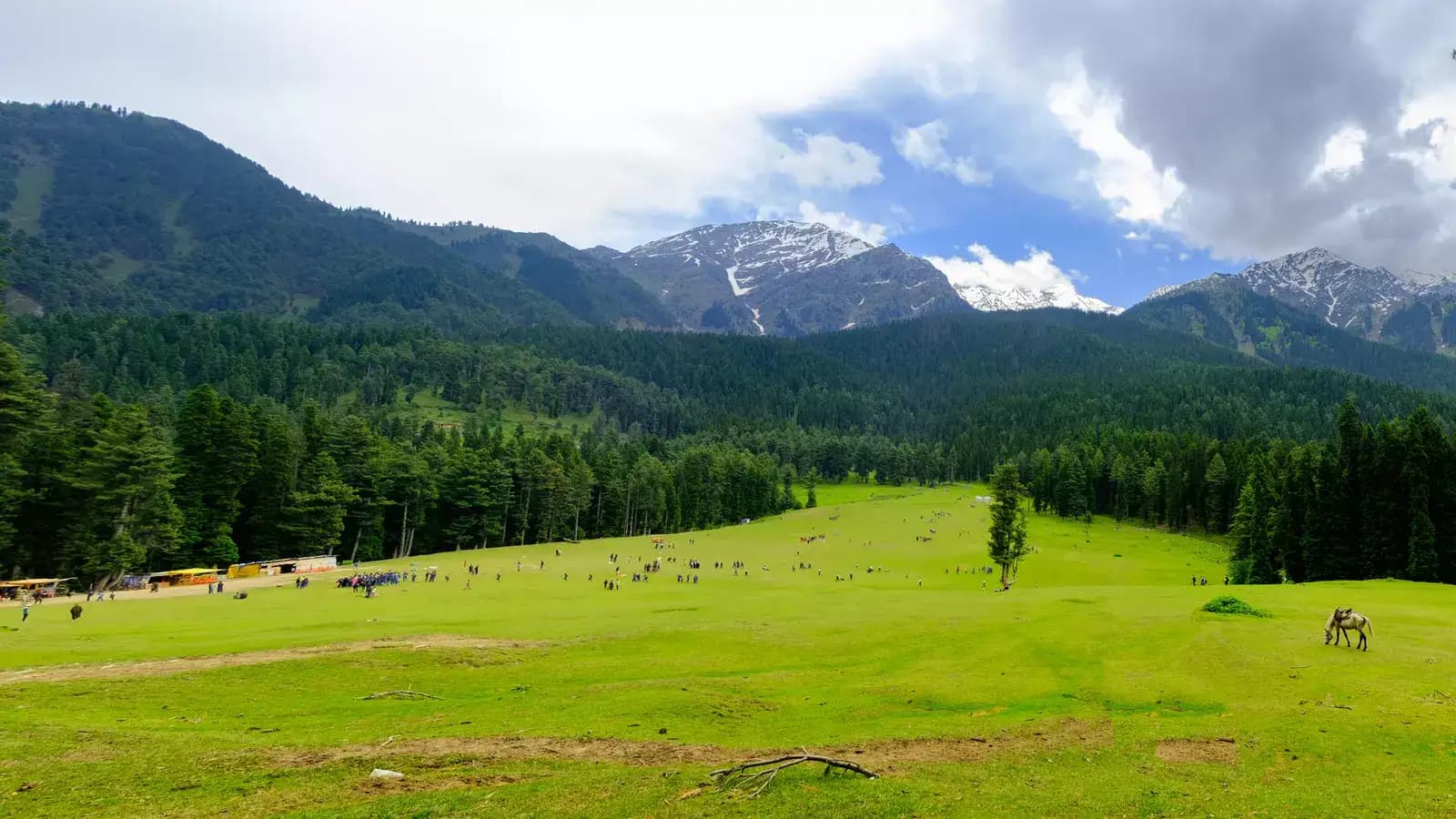 Financial Assistance Initiatives for Kashmir's Tourism Sector After the Pahalgam Incident