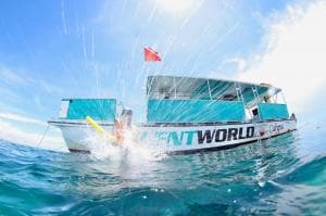 Immerse Yourself in Key Largo’s Iconic Snorkeling Adventure: Christ of the Abyss, Benwood Shipwreck & Molasses Reef