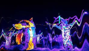 Experience the Thrill of Nocturnal Wonderland's 30th Anniversary
