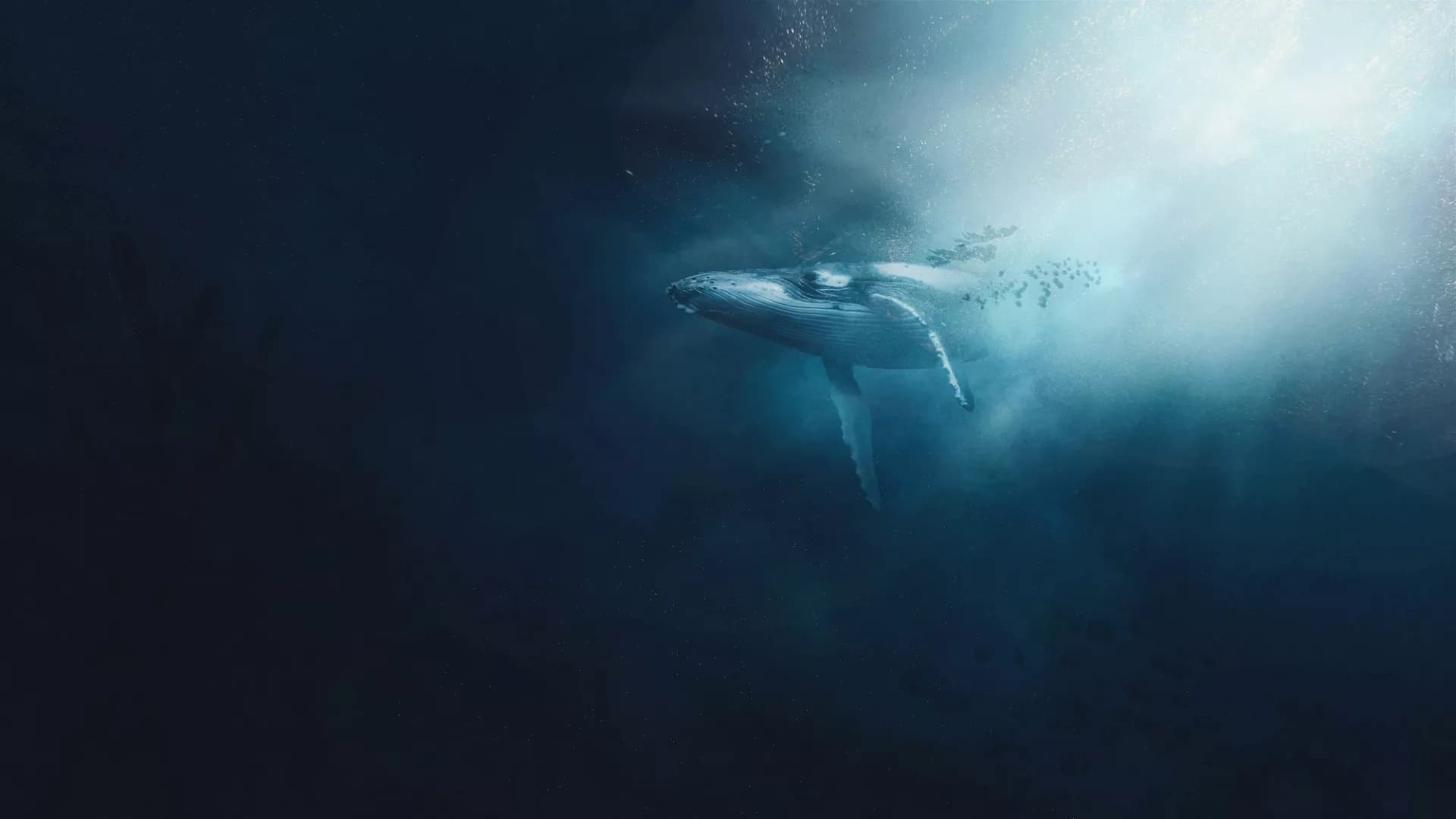 Transformative Power of Whale Songs on Tourist Perspectives Towards Ocean Conservation