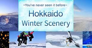 Japan’s Snowy Escapes and Cultural Treasures: Curated Winter Tours from Tokyo