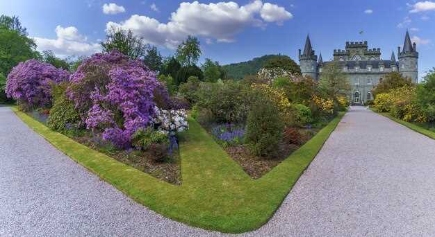 Photography tips and crowd management for a tranquil visit