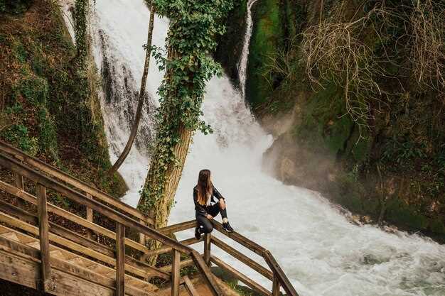 Self-guided option: when to choose it and how to navigate the park