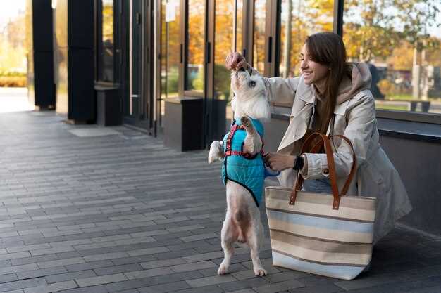 Plan outdoor and indoor activities: nearby parks, trails, and pet-friendly dining