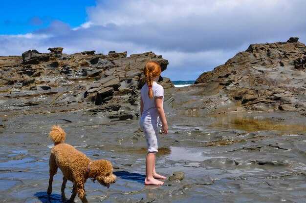Practical plan for an unforgettable Iceland trip this season