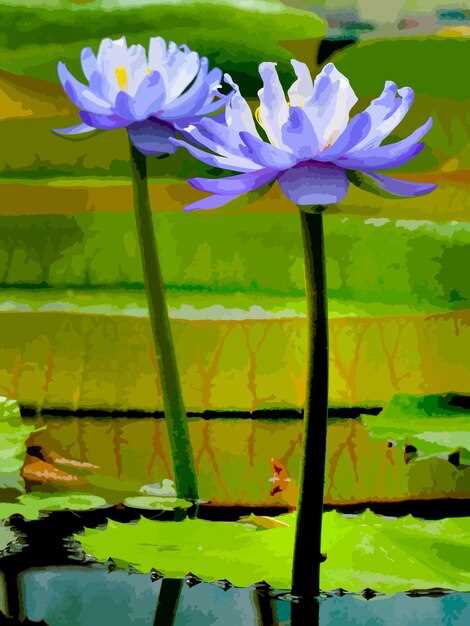 Monet's Water Lilies: Practical Guide