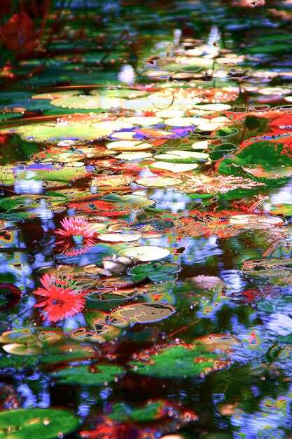 Brushwork and color: Monet's painting techniques in the series