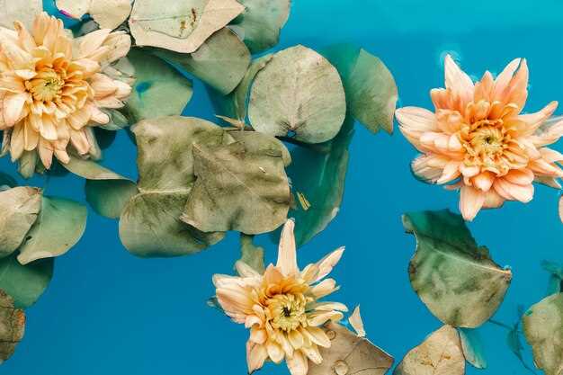 10 Surprising Facts About Claude Monet's Water Lilies