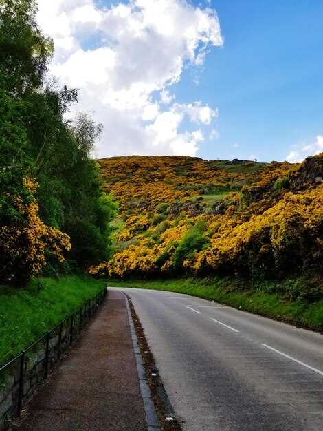 Road Trip Secrets: England's Scenic Drives