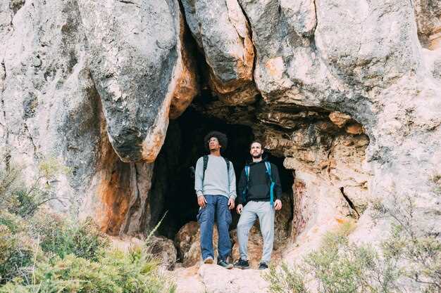 Glowworm Cave Immersion: Night Walks, Lighting, and Silent Bioluminescence