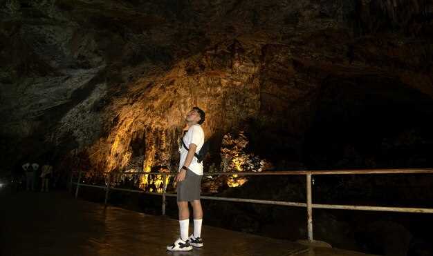 11 Best Tours in Waitomo – Top Glowworm Caves and Adventure Experiences