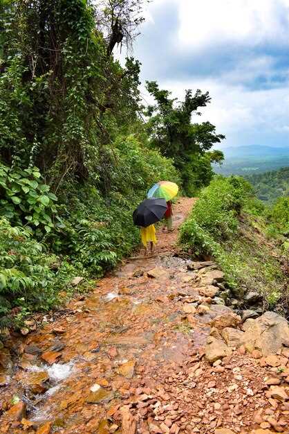 Packing checklist: climate-ready clothing, gear, and must-have items