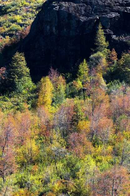 Seasonal planning: best times for hiking, camping, and snow activities