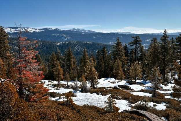 Permits, quotas, and camping rules for wilderness trips