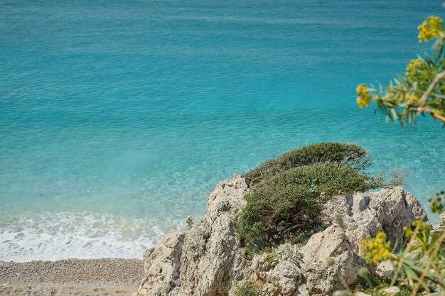 Mondello Beach: parking, facilities, lifeguards, and shade options