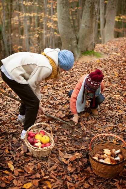 13 Best Apple Picking Spots for Family Fun This Fall
