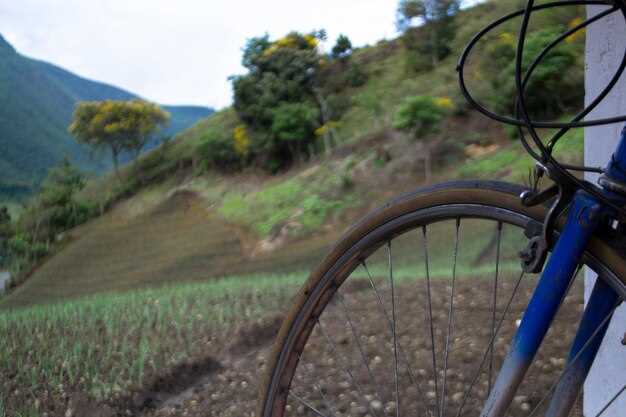 13 Best Bike Tours in Napa and Sonoma Wine Country: A Practical Cycling Guide