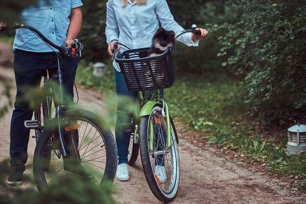 13 Best Bike Tours in Napa and Sonoma | Wine Country Cycling Guide