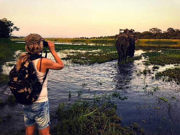Choose the right KwaZulu-Natal tour by interest: wildlife, culture, or adventure