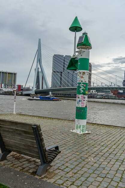 Iconic landmarks to hit first: Erasmus Bridge, Cube Houses, and Markthal