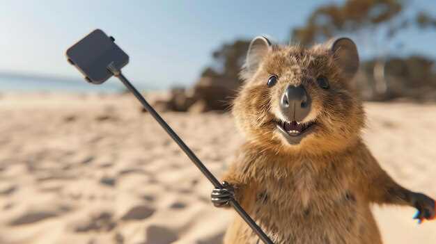 15 niesamowitych darmowych rzeczy do zrobienia w Broome: odkryj to, co najlepsze w Australii, nie wydając ani grosza