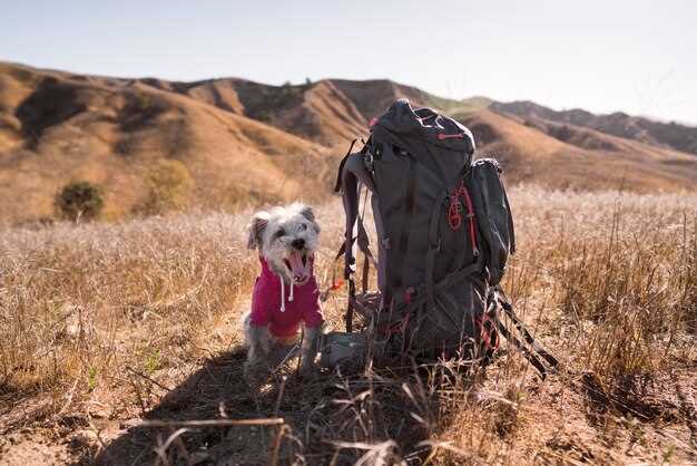 Regional Spotlight: Matching the 15 Trails to Landscape, Difficulty, and Adventure Style