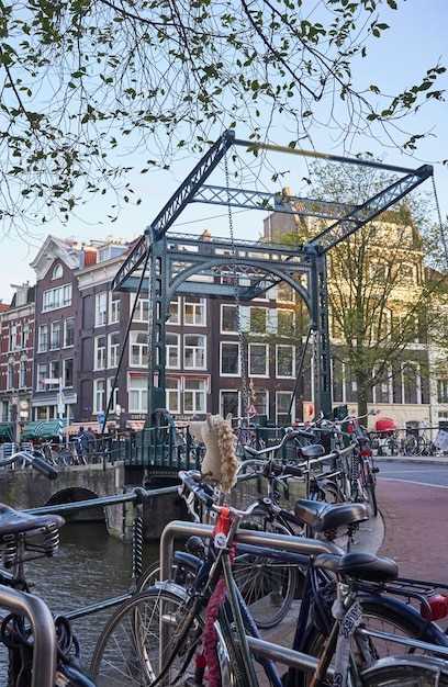 Tailor the 16 activities by interest: culture, food, and outdoor picks