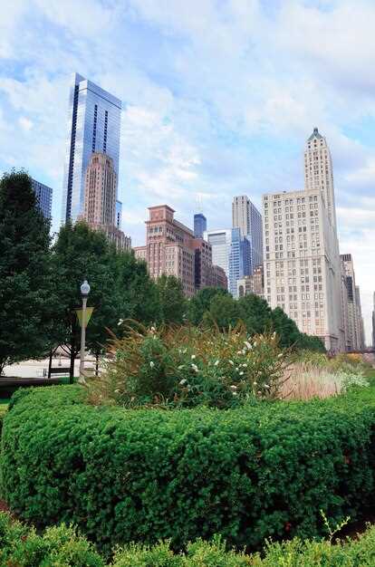 1-Hour Essentials: Quick Stops for a NYC Park Hop