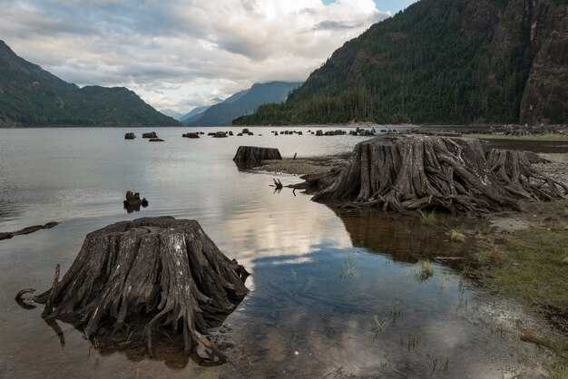 Curate a Fjord-and-Coastal Route: Top Destinations by Region