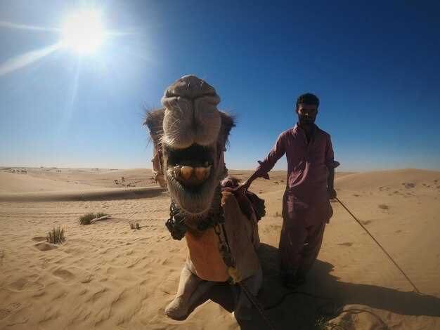 2-Day Desert Tour from Agadir to Zagora – Sahara Adventure & Camel Ride