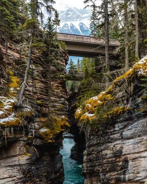 Parking, Accessibility, and Trail Details at Each Major Falls Stop