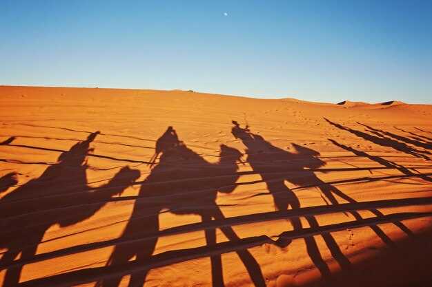 Desert Route Overview: Dunes, Tracks, and Pace Options
