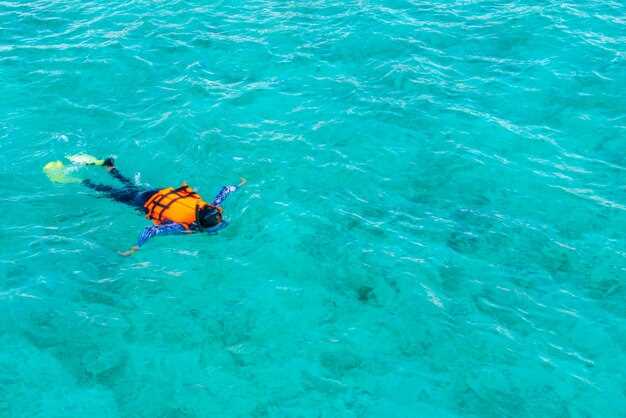 Trip Planning: Scheduling Dives, Downtime, and Weather Windows