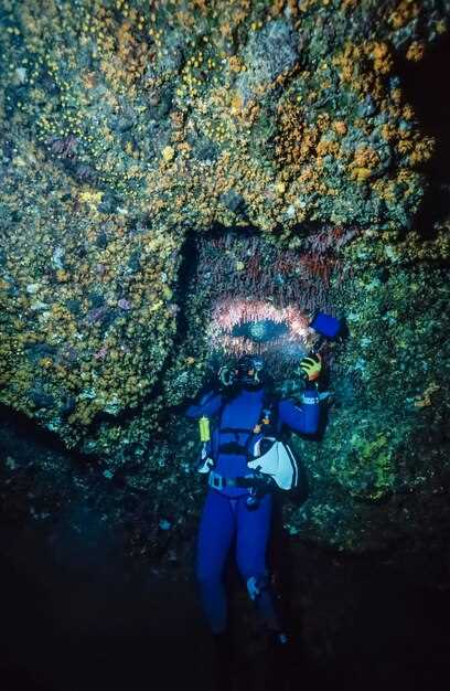 20 Best Scuba Diving Experiences in Tenerife | Top Dive Sites & Adventures