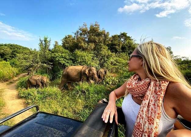 Best Cape Town Tours by Interest: Wildlife, Nature, City, and Coastal Experiences
