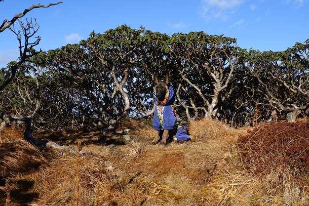 20 Best Tours in Cape Town | Top Things to Do in South Africa