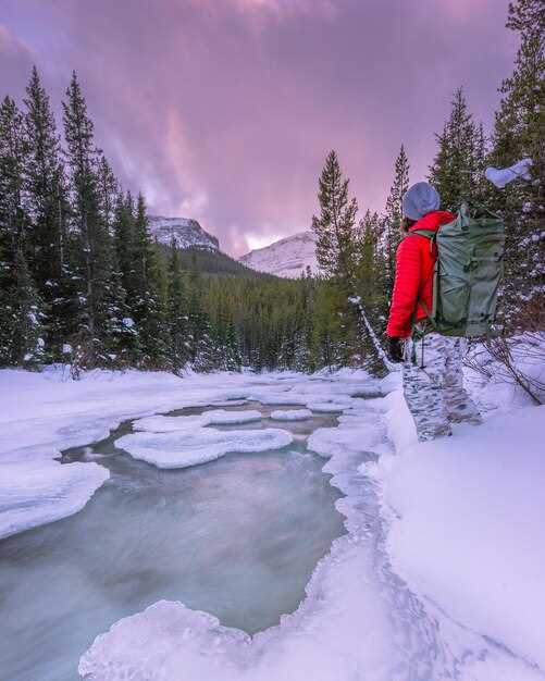 Roaring Fork Motor Nature Trail: A Drive Through History