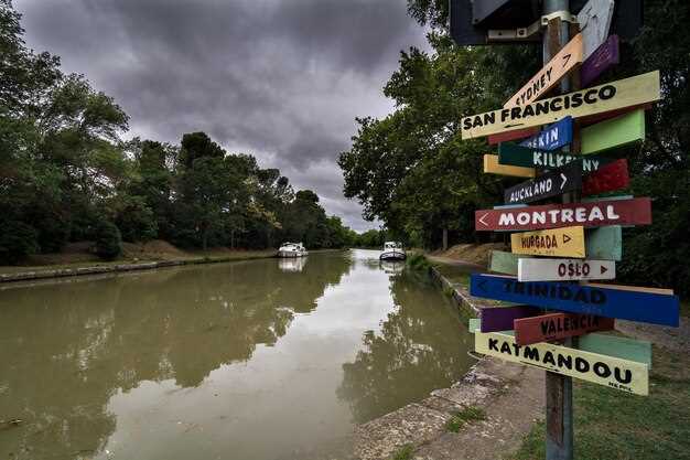 Avenue of the Oaks: Best Photo Spots, Timings, and Tips