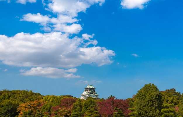 25-Hour Nagoya Tour – Castle, History, Local Food, and City Views