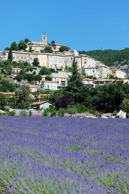 30 Epic Things to Do in Aix-en-Provence, France: Your Ultimate Travel Guide