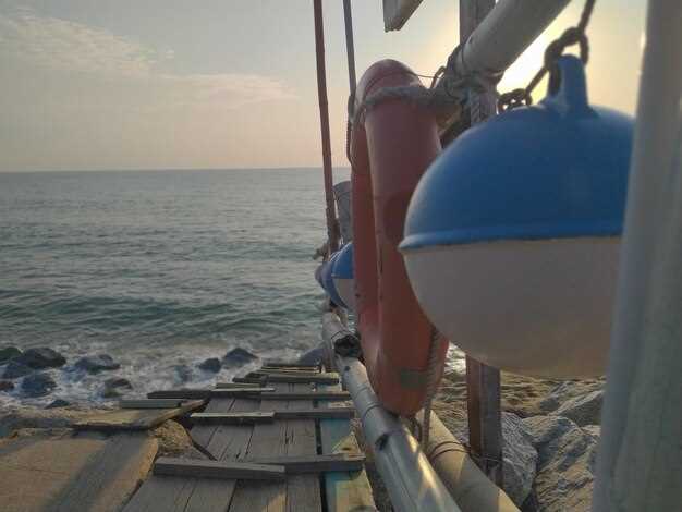 Onboard Highlights: Sights, Wildlife, and Photo Opportunities