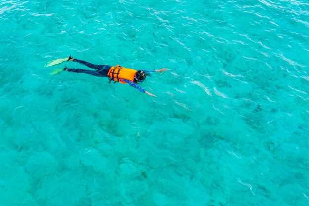 Islas Medes Snorkeling: Top Spots, Marine Life, and Visibility