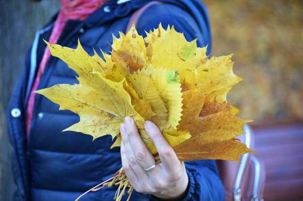 Autumn in Budapest: The Practical Guide