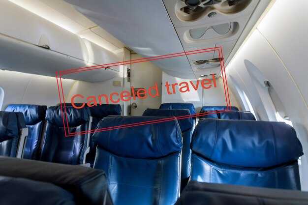 Atmosfera e comfort dell'abitacolo: livelli di rumore, illuminazione e controllo del clima.