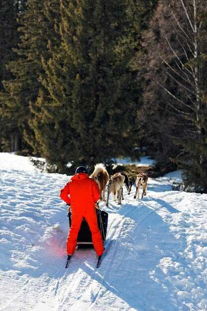 Practical Reasons to Choose Great Wolf Lodge for Your Next Holiday