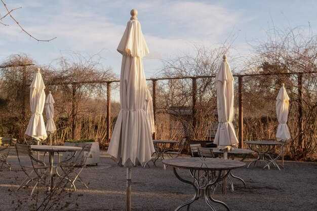 6 Unusual Places to Tie the Knot: Offbeat Wedding Venues Guide