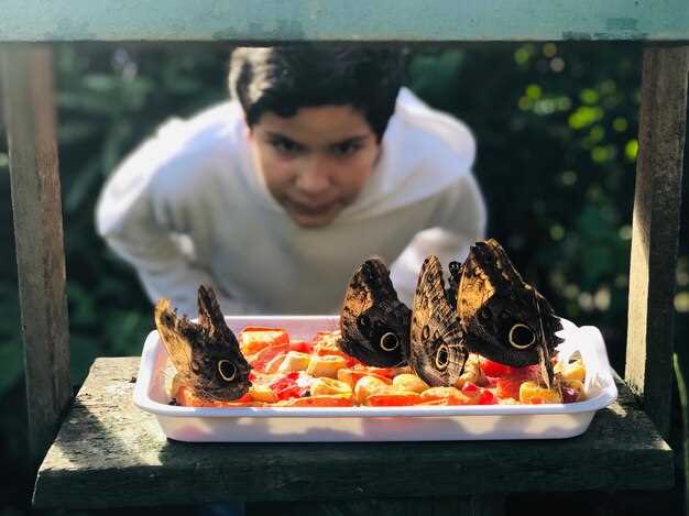 7 Best Cooking Classes in Ella, Sri Lanka | Hands-On Culinary Experiences