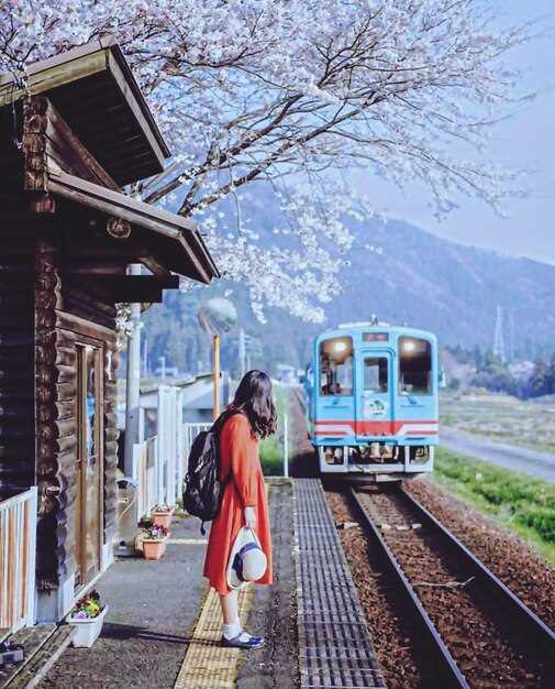 Day-by-day route: sequence across Okayama, Hiroshima, Shimane, Tottori, and Yamaguchi for optimal festival access
